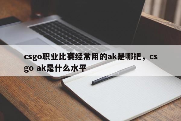 csgo职业比赛经常用的ak是哪把，csgo ak是什么水平