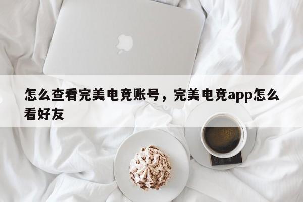 怎么查看完美电竞账号，完美电竞app怎么看好友