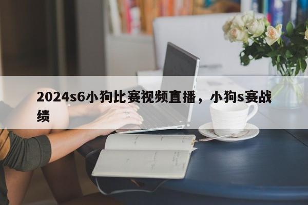 2024s6小狗比赛视频直播，小狗s赛战绩