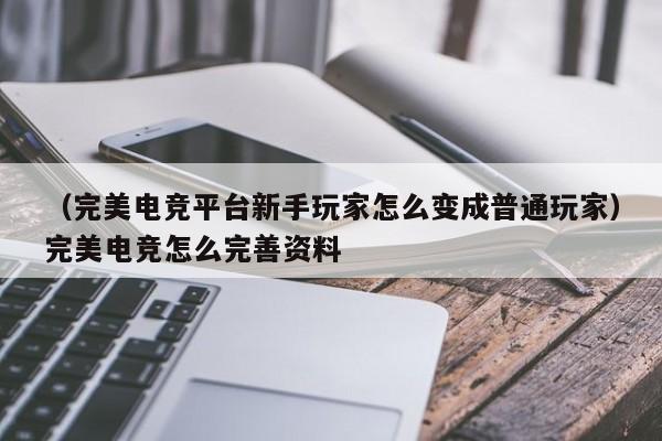 （完美电竞平台新手玩家怎么变成普通玩家）完美电竞怎么完善资料