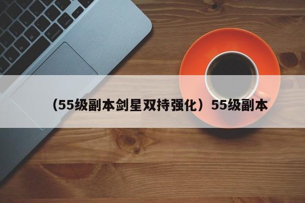 （55级副本剑星双持强化）55级副本