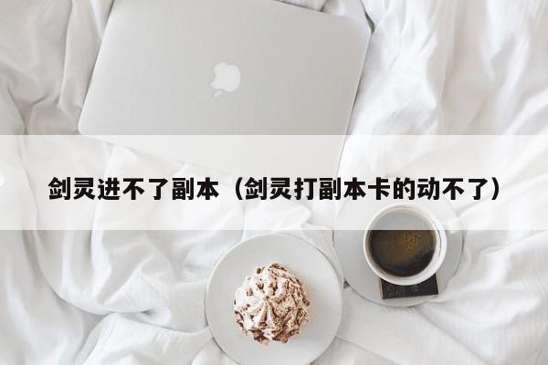 剑灵进不了副本（剑灵打副本卡的动不了）