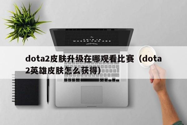 dota2皮肤升级在哪观看比赛（dota2英雄皮肤怎么获得）