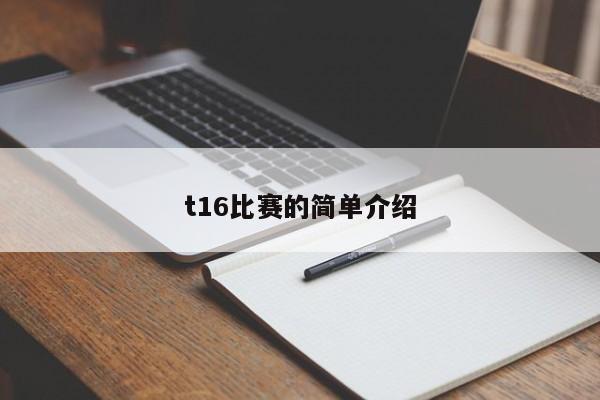 t16比赛的简单介绍