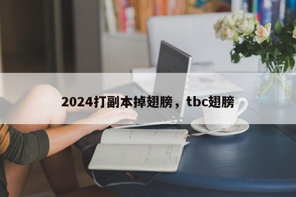 2024打副本掉翅膀，tbc翅膀